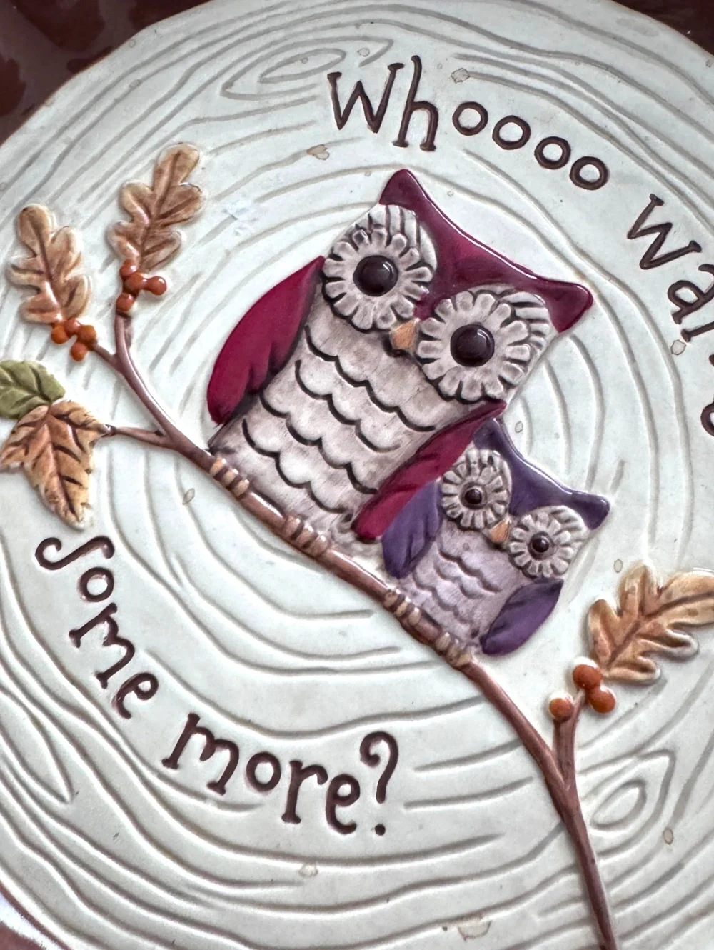 Grasslands Road Owl Pie Plate Whooo Wants Some More Ceramic Fall Serving Dish